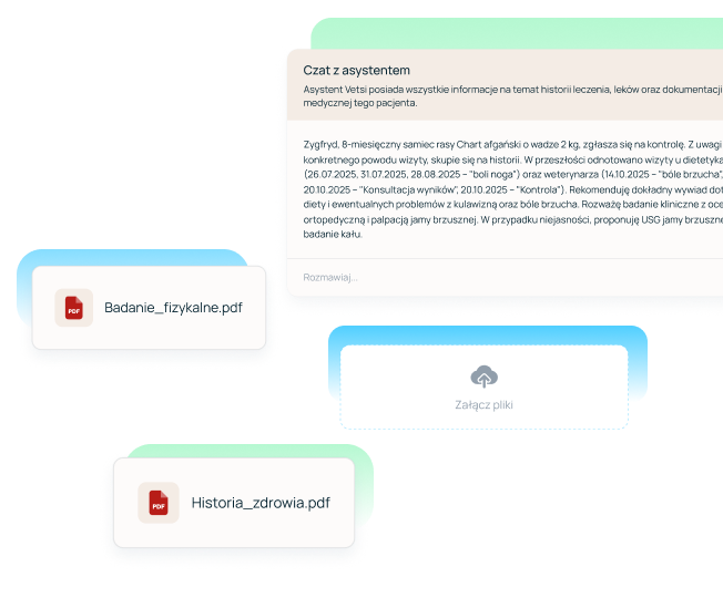 Asystent Vetsi w systemie Vetsi Clinic